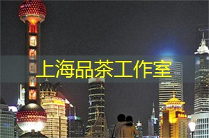 上海新茶工作室联系方式：上海论坛：城市规划的变革者来袭！