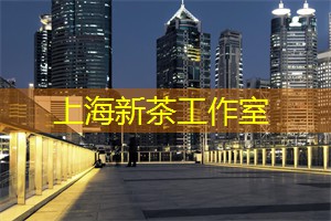 神奇发现！上海地下探索队发现地下河流，揭示神秘地底世界！
