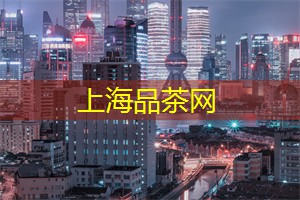 爱上海419：打卡夜间观光巴士：一览城市风光