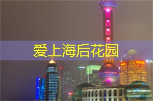 上海娱乐网：温馨回忆：在上海的市集游览