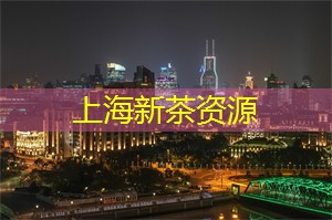 铃声响起：上海的夜游活动